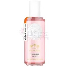  جینجمبر اکسکوییز